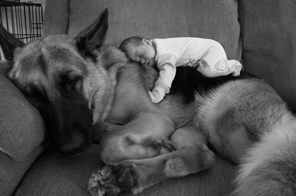 Prove That Every Child Needs A Pet (20 photos) | Tipsto