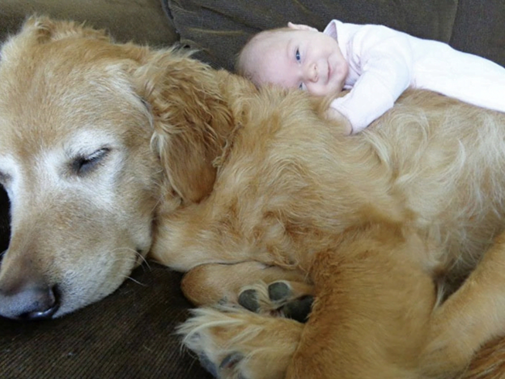 Prove That Every Child Needs A Pet (20 photos) | Tipsto