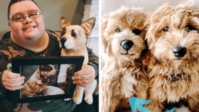 Photo of +13 Pets And Their Stuffed Copies Made For Their Humans