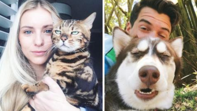 Photo of 18 Pets That Hate Selfies But Look Adorable In Them