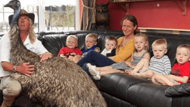 Photo of Meet The Family Who Shares Their Home With A Pet Emu