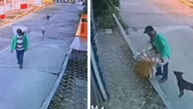 Photo of Street Vendor Is Caught On Camera Giving The Last Of His Food To Hungry Stray Dogs