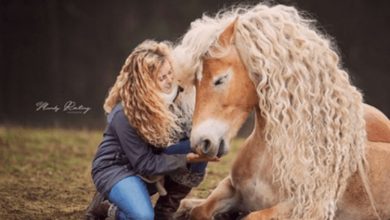 Photo of Horse’s Mane With Long Blonde Curls Matches Her Owner’s Hair