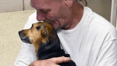 Photo of Facing Euthanasia Local Shelter Offers Dog Dad Hope For His Injured Pup