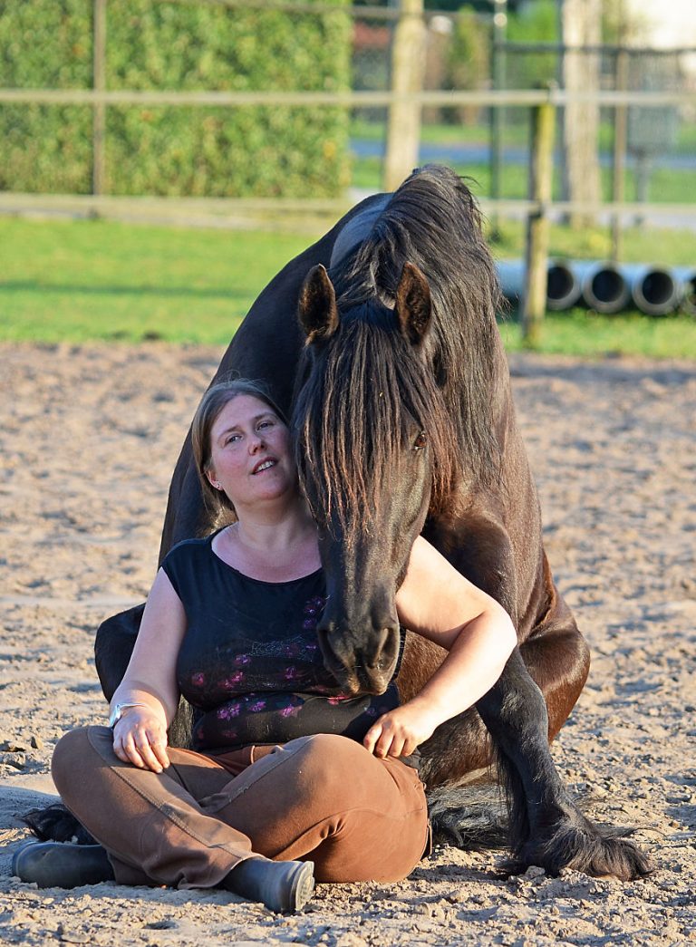 The Love And Trust Between These Horses And Owner Is Amazing Tipsto