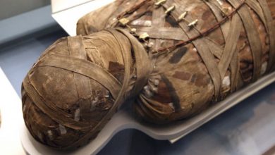 Photo of Ancient Egyptian mummies found floating in Sewage water in Egypt