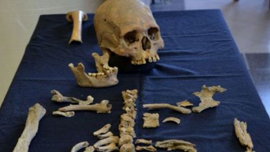 Photo of In Mexico, Archaeologists Found A 1,600-Year-Old Reмain