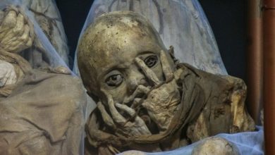 Photo of Discovering Peru Mummies in the Leymebamba Museum