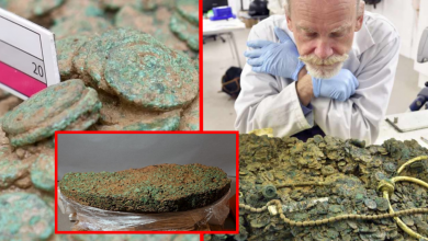Photo of Astonishing 69,347 Iron Age Coins Unearthed Ƅy Deterмined Drtectorists After Decades of Searching!