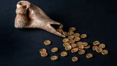 Photo of 2,000-Year-Old Iron Age Hoard of Gold Coins Found in a Cow Bone