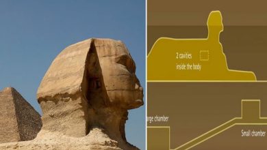 Photo of In the head of the Sphinx, there might be a portal leading to a long-lost city, paving the path for historical discoveries