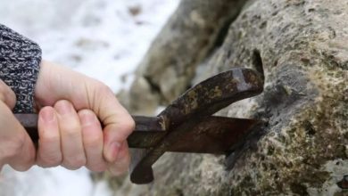 Photo of 700-year-old sword discoʋered stuck in a rock