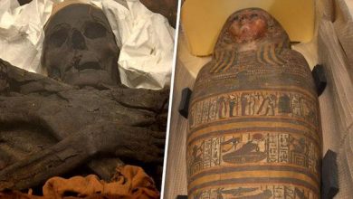 Photo of Egyptian мuммies alмost 3,000 years old found in Kieʋ