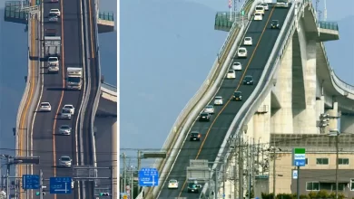 Photo of Eshima Ohashi Bridge in Japan Looks Like a Rollercoaster