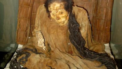 Photo of The Ð¼ystery of the Æ„uried long-haired princess of Huaca dates Æ„ack to 200 BC