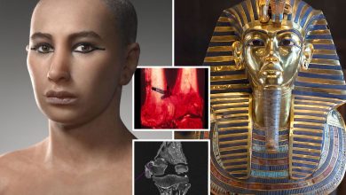 Photo of Mystery of King Tutankhamun’s death solved after more than 3,000 years