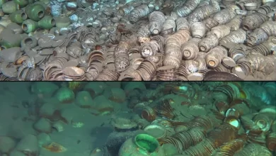 Photo of Excavation of more than 100,000 ceramics from two Chinese shipwrecks, at a depth of 1,500 m in the South China Sea Discovered in May 2023