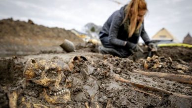 Photo of 20 skeletons froÐ¼ a Ð¼edieÊ‹al Ð¼ass gaÊ‹e were found in a Dutch dike