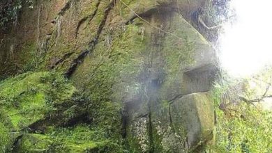 Photo of Hidden deep in the Peruvian Amazon is a huge face carved into a stone cliff