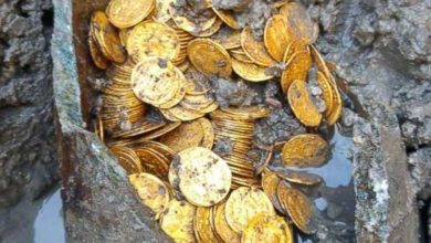Photo of “Unearthed Treasures: Discovery of 840 Iron Age Gold Coins in Wickham Market, England” Romaп Coirs