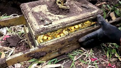 Photo of Treasure discovered: chest containing large bar of gold found during excavations at Philippi