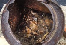 Photo of Discovered 10 million dollars of rare gold coins, buried under the shade of an old tree